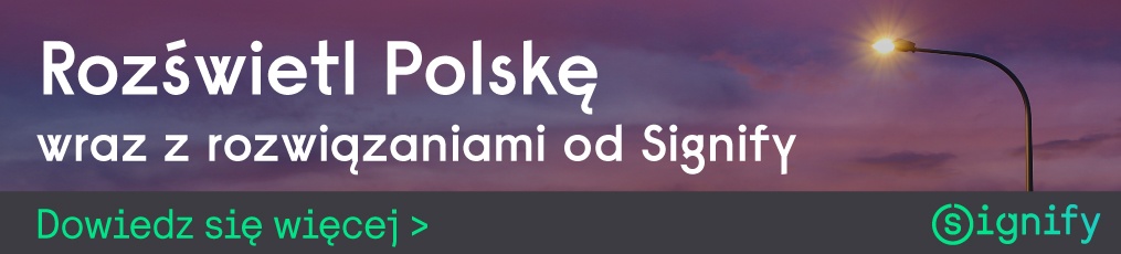 https://lighting.pl/oswietlenie-profesjonalne/drogi-i-ulice/Jak-efektywnie-wykorzystac-dotacje-z-programu-Rozswietlamy-Polske